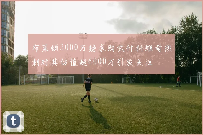 布莱顿3000万镑求购武什科维奇热刺对其估值超6000万引发关注