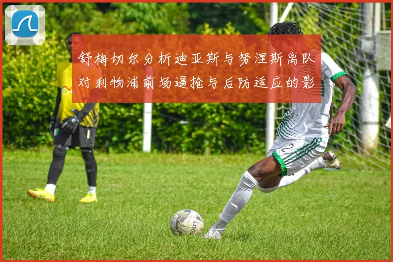 舒梅切尔分析迪亚斯与努涅斯离队对利物浦前场逼抢与后防适应的影响