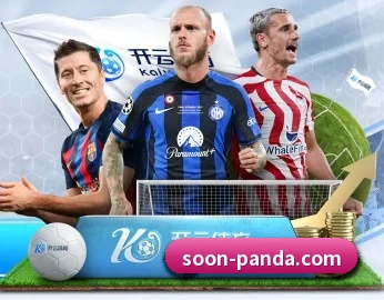 熊猫体育 APP(PANDAsports)